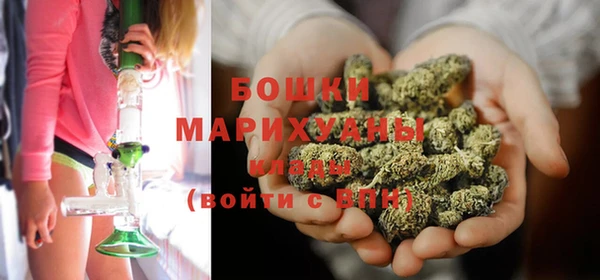 прущие грибы Покровск