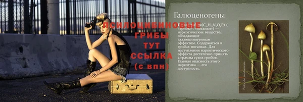 прущие грибы Покровск