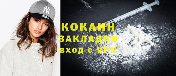 прущие грибы Покровск